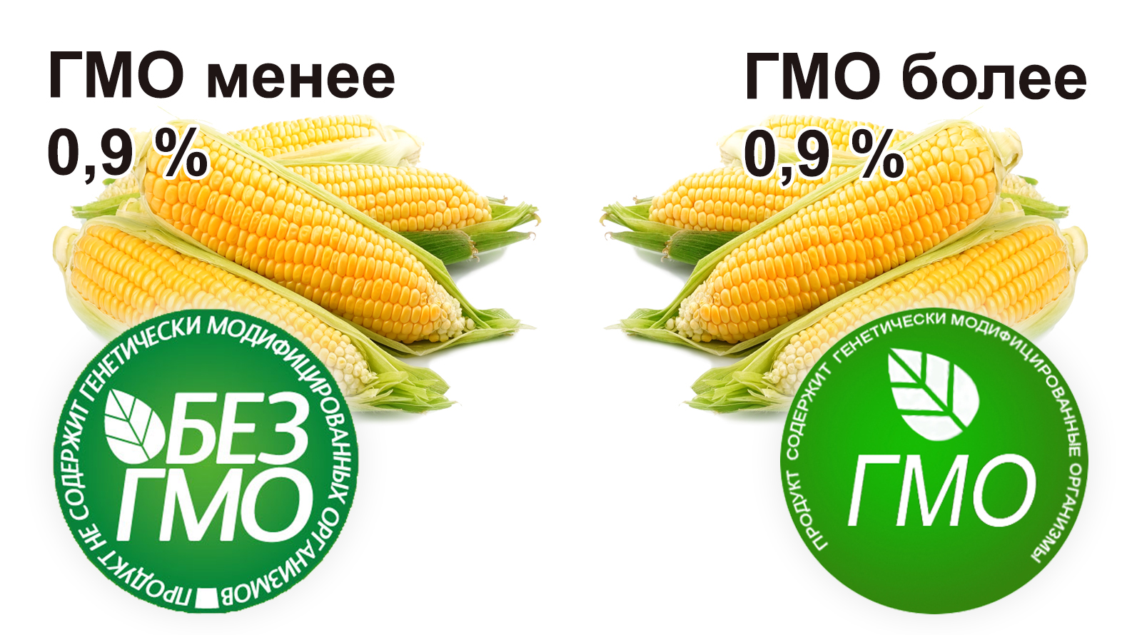 Гмо в мире. ГМО. Генномодифицированные продукты. Маркировка продуктов с ГМО. Содержит ГМО маркировка.